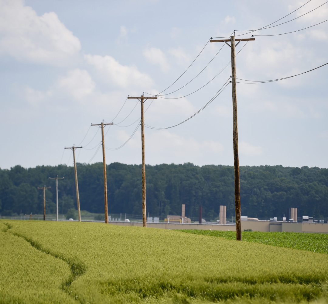 Maxatawny Township, PA - June 7: Utility poles next to wheat growing in a field along Mertz Road in Maxatawny twp. Monday afternoon June 7, 2021. (Photo by Ben Hasty/MediaNews Group/Reading Eagle via Getty Images)